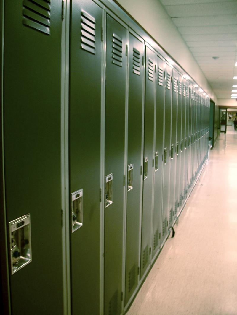 Metal Lockers look Fantastic